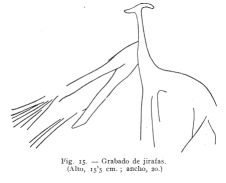 fig.15